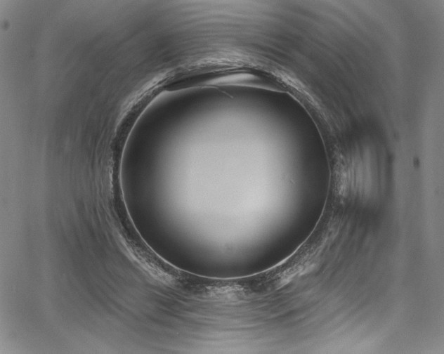 X0000068270446200604211114