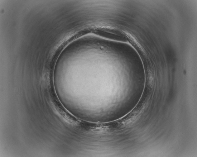 X0000068270447200604211114