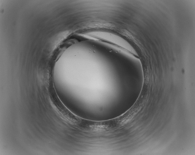 X0000068270448200604211114