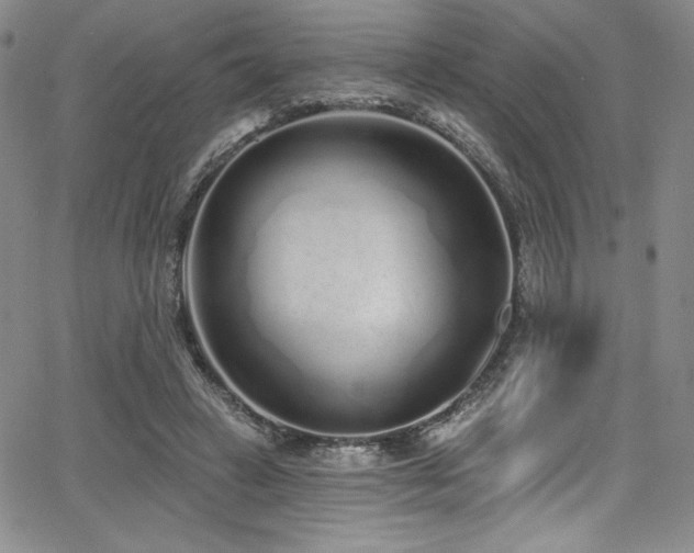 X0000068270449200604211114