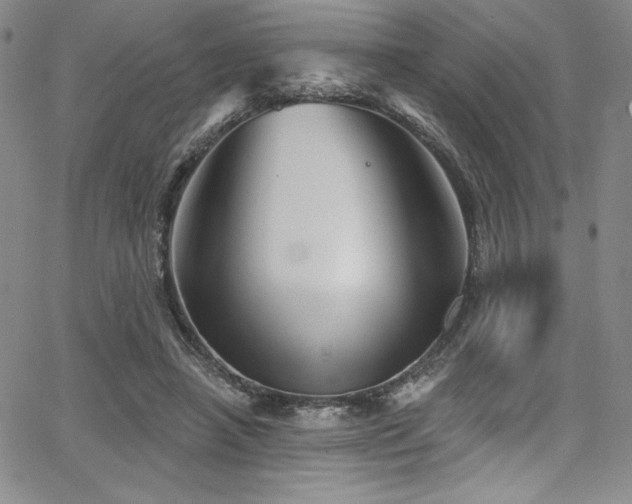 X0000068270450200604211114