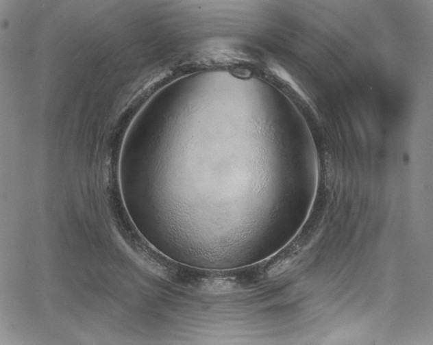 X0000068270451200604211114