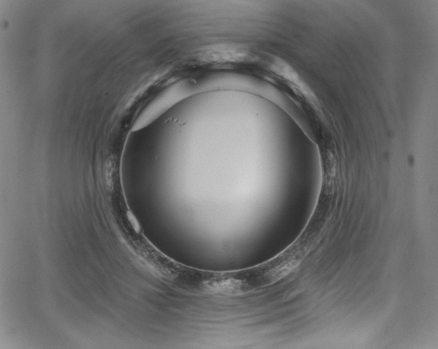 X0000068270452200604211114