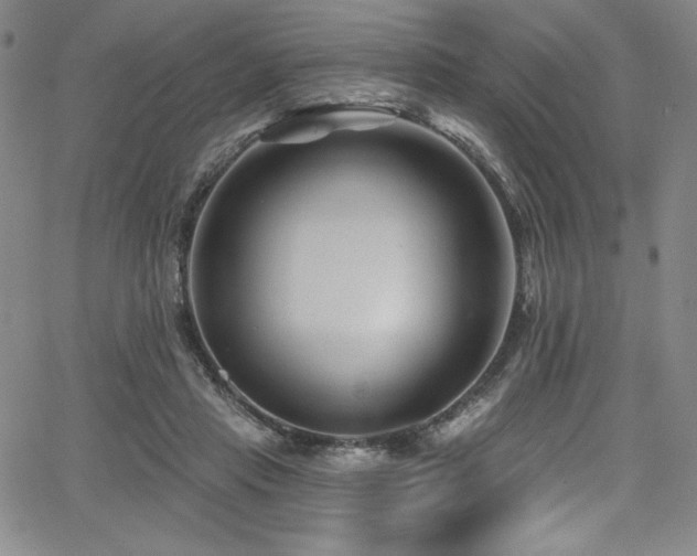 X0000068270453200604211114