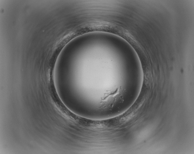 X0000068270454200604211114