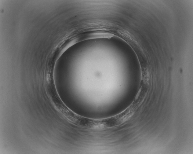 X0000068270456200604211114