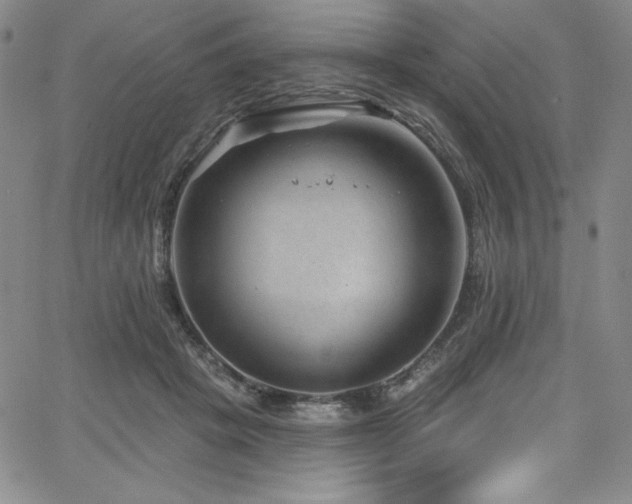 X0000068270457200604211114