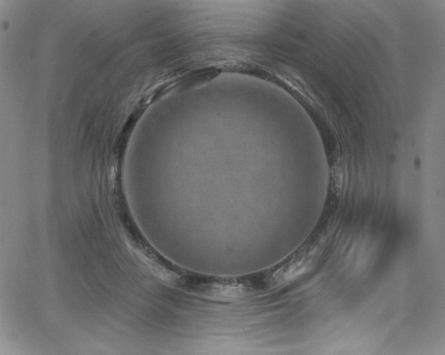 X0000068270458200604211114