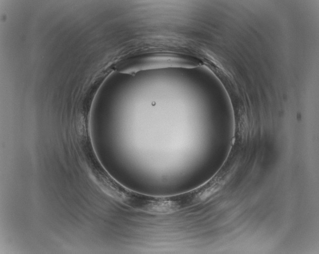 X0000068270459200604211114