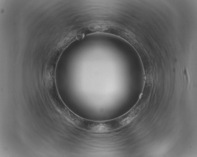 X0000068270460200604211114