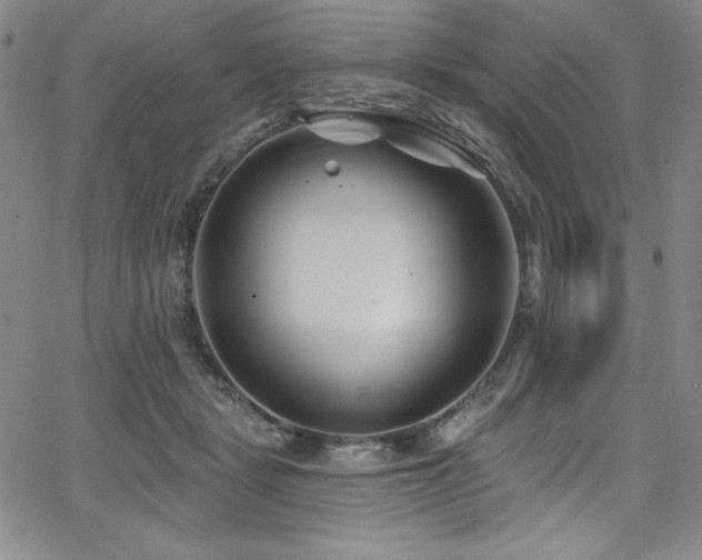 X0000068270461200604211115