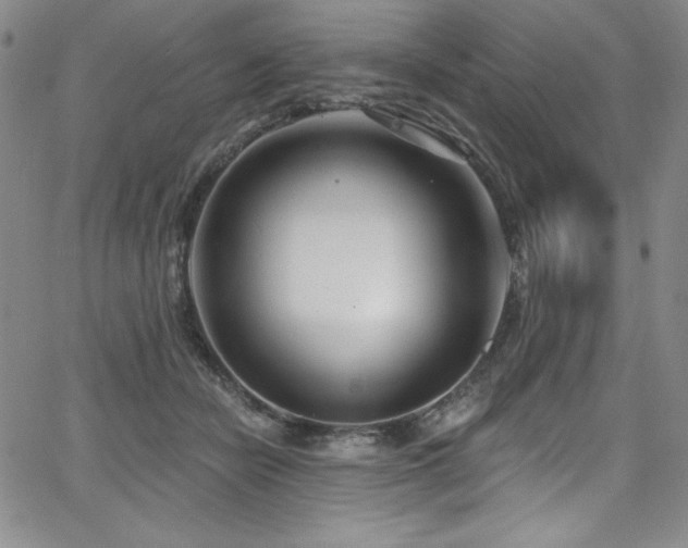 X0000068270462200604211115