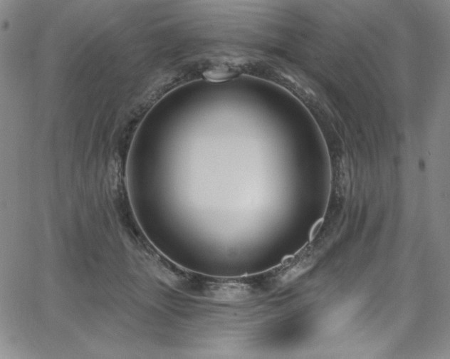 X0000068270463200604211115