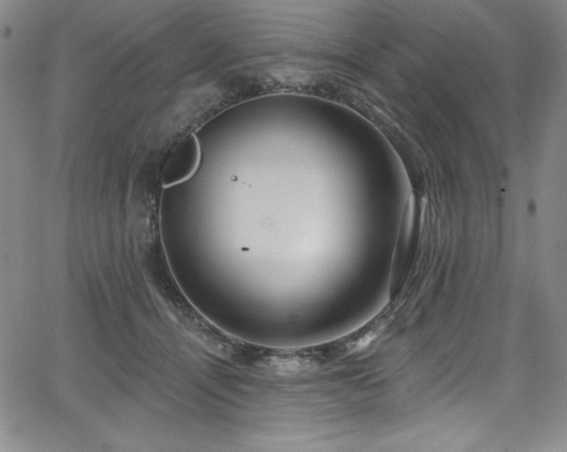 X0000068270464200604211115