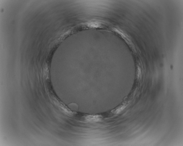 X0000068270465200604211115