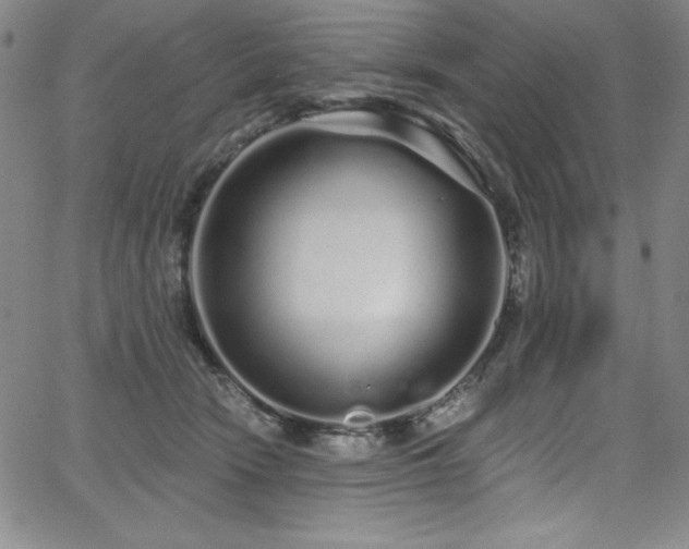 X0000068270466200604211115