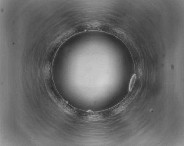 X0000068270468200604211115