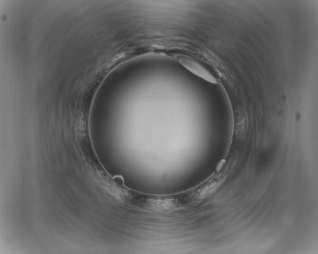 X0000068270469200604211115