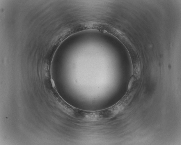 X0000068270470200604211115