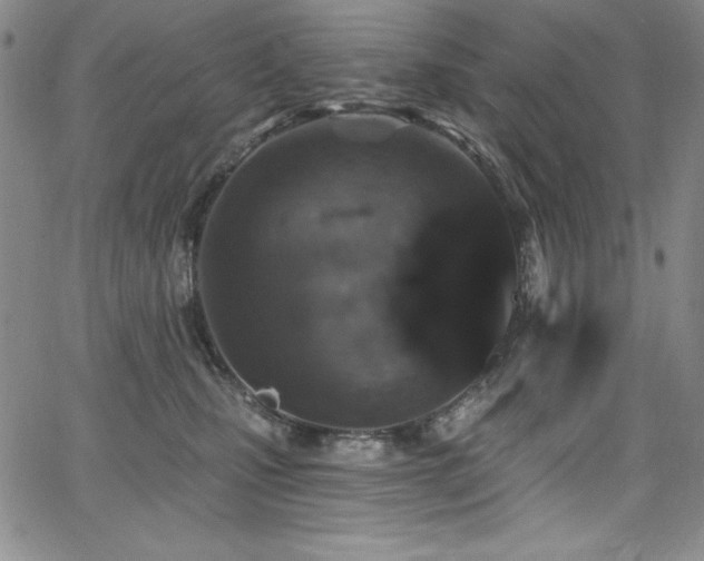 X0000068270471200604211115