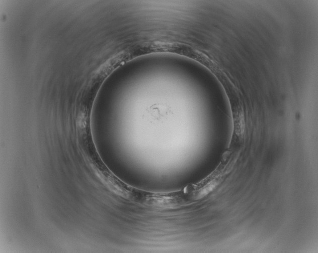 X0000068270472200604211115