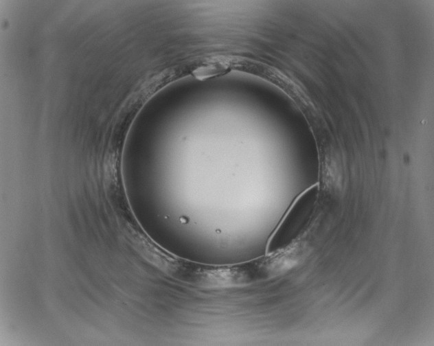 X0000068270473200604211115