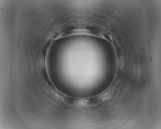 X0000068270474200604211115