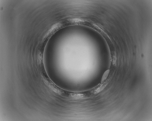 X0000068270476200604211115