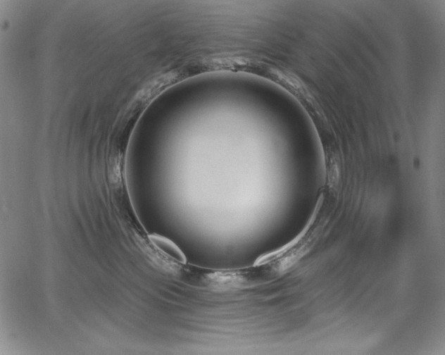 X0000068270477200604211115