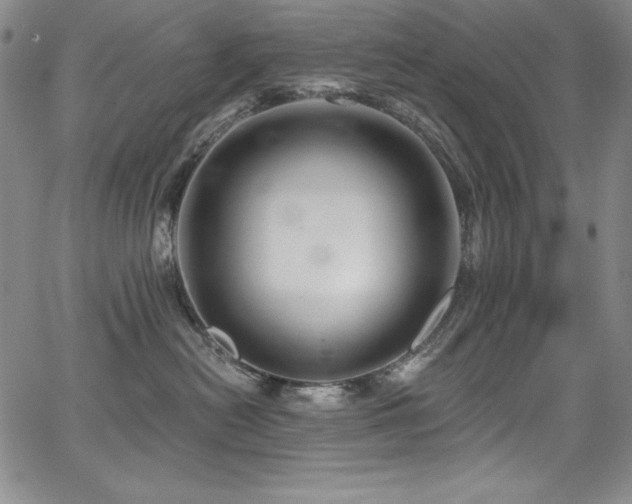 X0000068270478200604211115