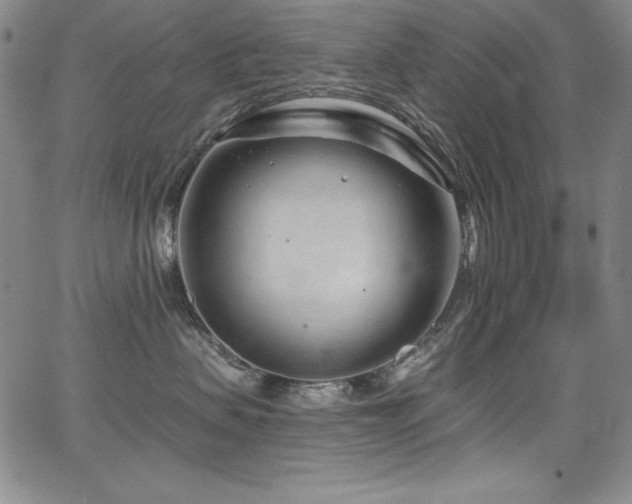 X0000068270479200604211115