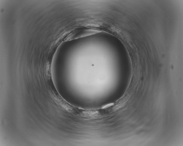 X0000068270480200604211115