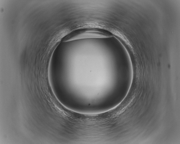 X0000068270481200604211114