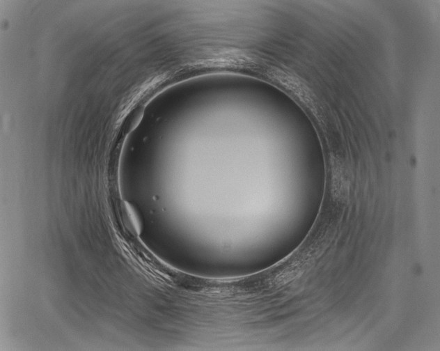 X0000068270482200604211114