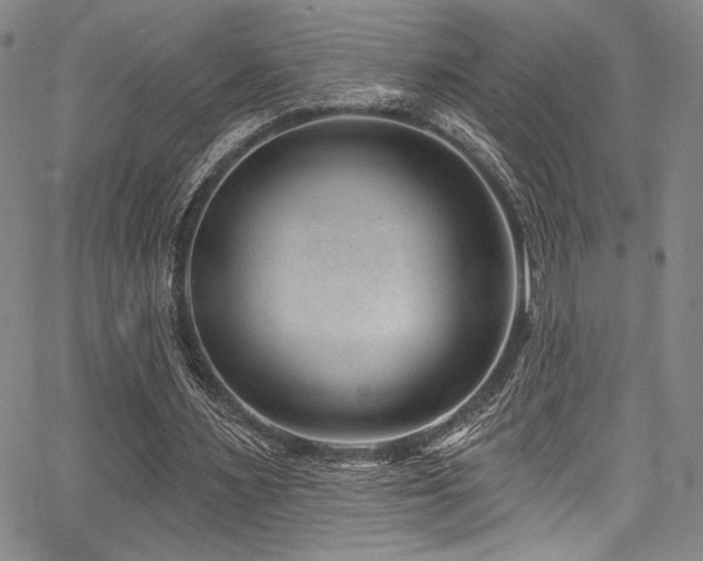 X0000068270483200604211114