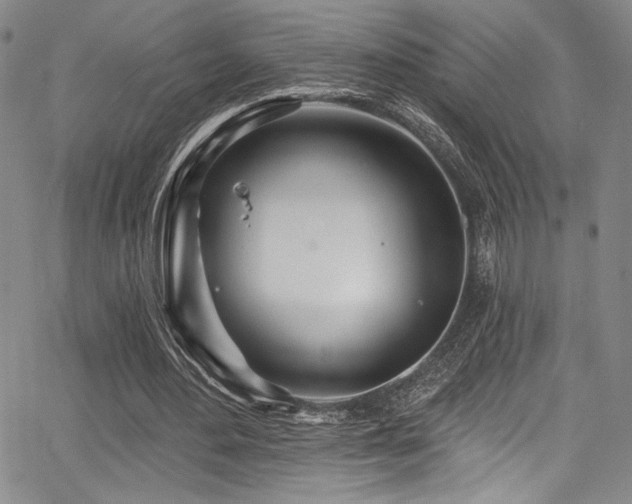 X0000068270484200604211114