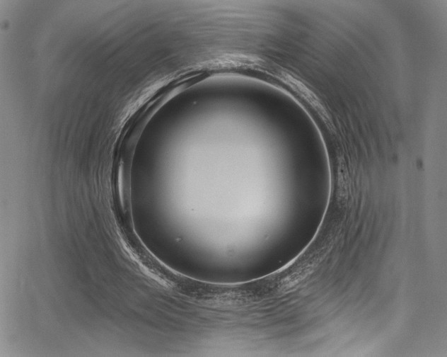 X0000068270485200604211114