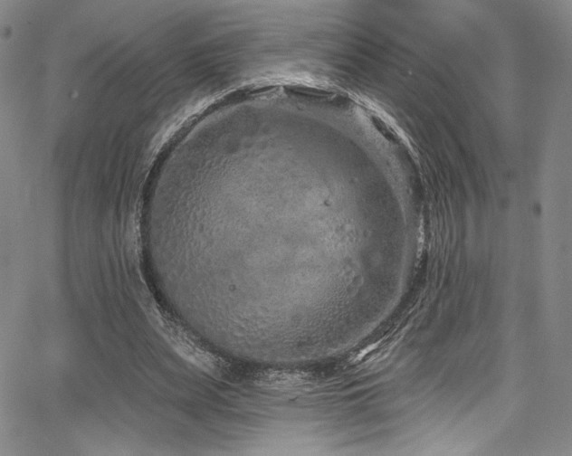 X0000068270487200604211114