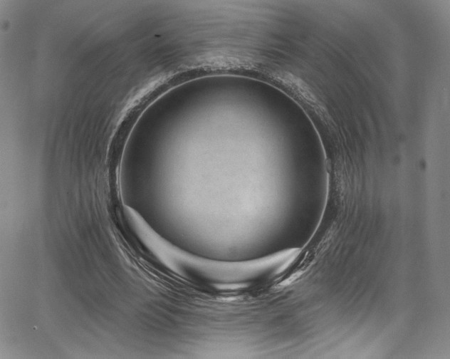 X0000068270488200604211114