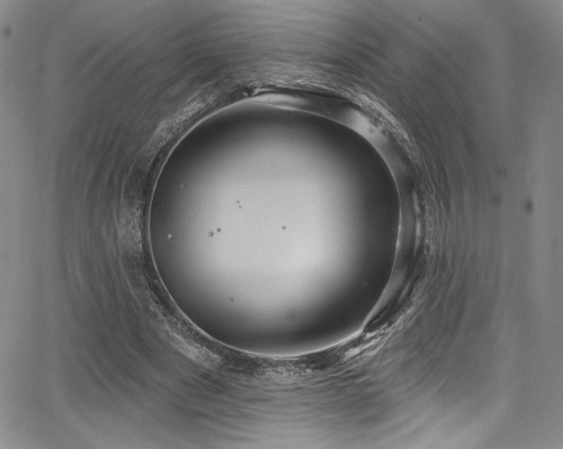 X0000068270489200604211114