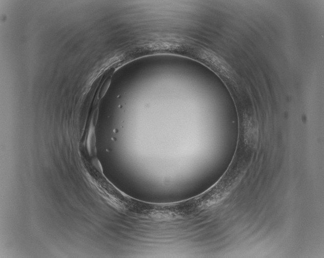 X0000068270490200604211114