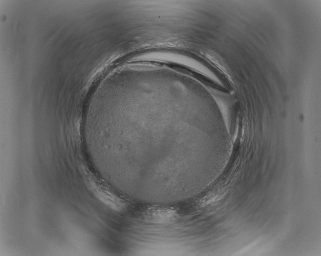 X0000068270491200604211114