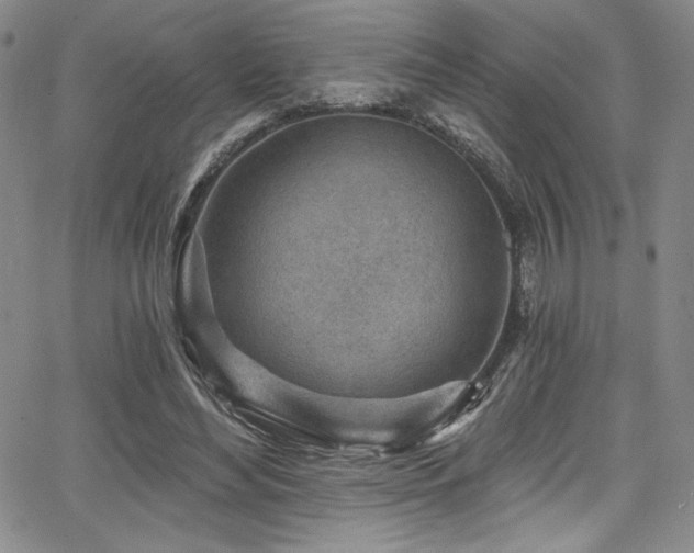 X0000068270492200604211114