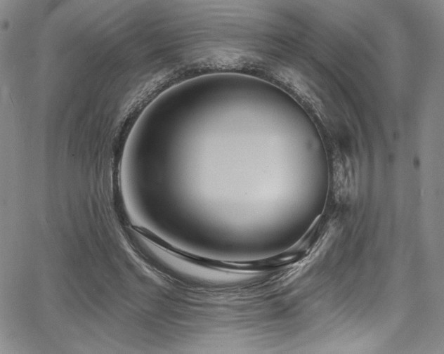 X0000068270493200604211114