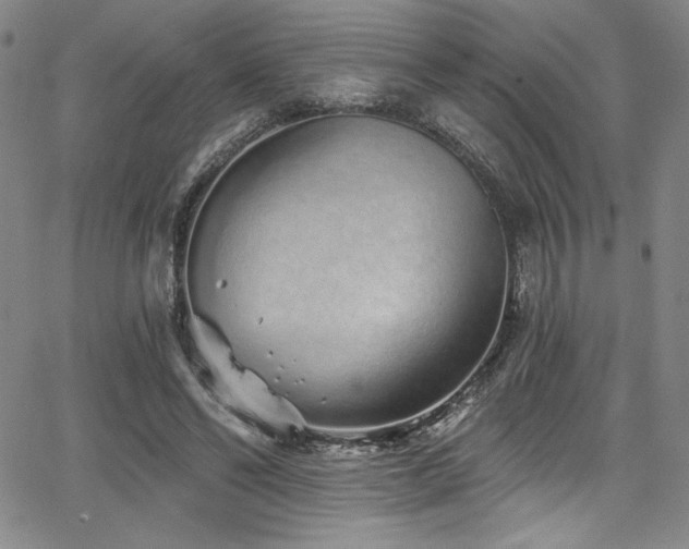 X0000068270494200604211114