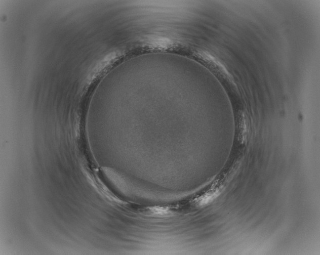 X0000068270496200604211114