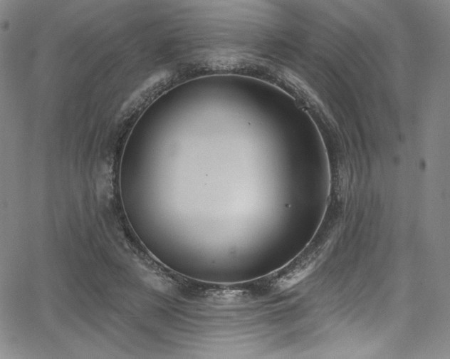 X0000068270497200604211114