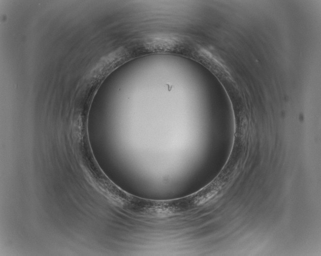 X0000068270498200604211114