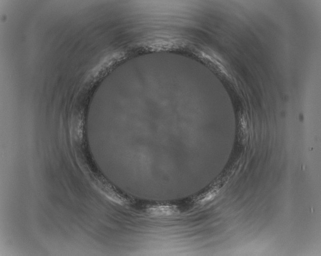 X0000068270499200604211114