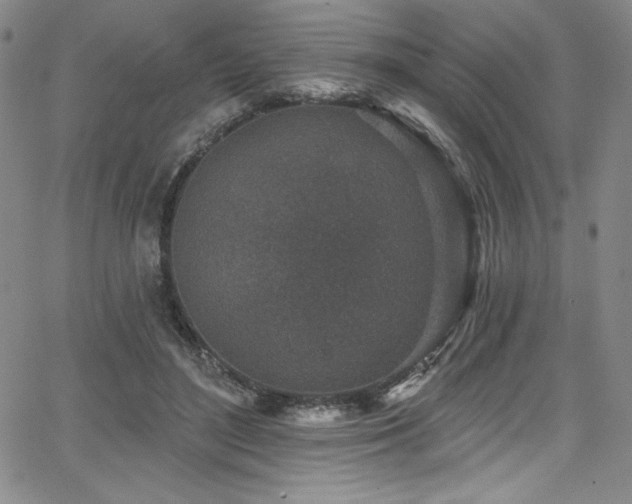 X0000068270500200604211114